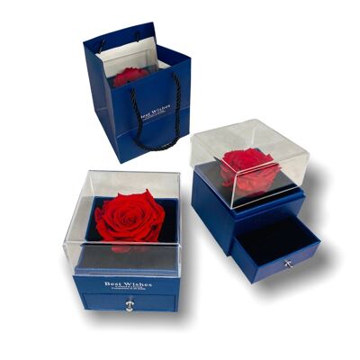 Rose éternelle rouge dans une boîte Boîte à bijoux bleue, ouverte