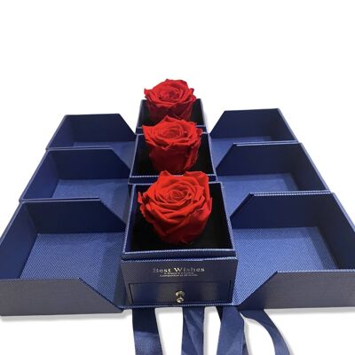 Rose éternelle rouge dans une boîte Boîte à bijoux bleue, vraie rose