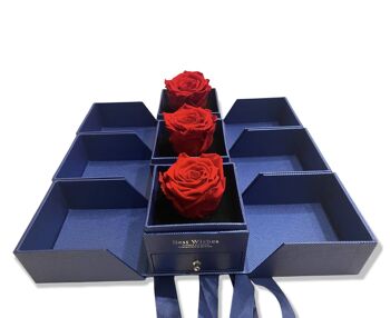Rose éternelle rouge dans une boîte Boîte à bijoux bleue, vraie rose 1