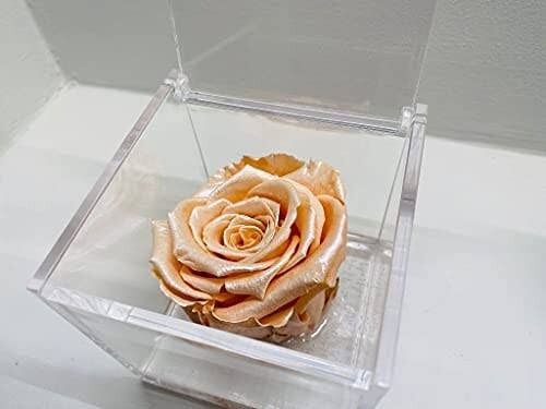 PremiumRose Cubo Rosa Stabilizzata Nera Profumata da 8 cm con Rosa Eterna  Vera