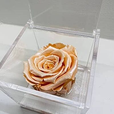 Cube de roses stabilisées Rose Éternelle Vraie - Rose Satinée