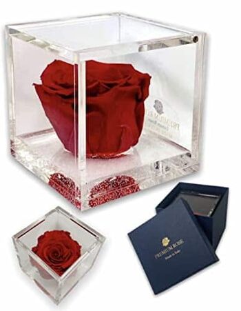 S 1010 Roses préservées de luxe dans un cube plus épais