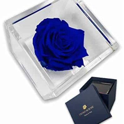 S 1011 Roses préservées de luxe dans un cube plus épais