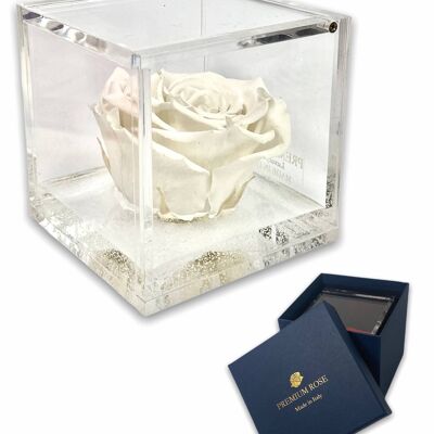 S 1018 Luxury Real Preserved Roses in Thicker Cube
