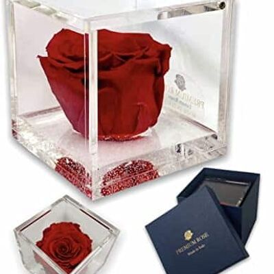 S 1080 Rosas auténticas de lujo preservadas en cubo más grueso