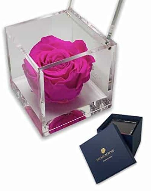 S 1082 Luxury Rose Stabilizzate Vere in Cubo più Spesso