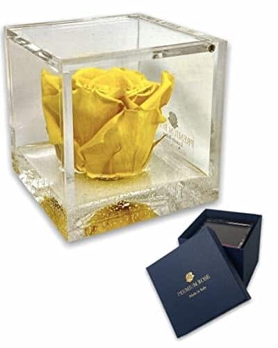 S 1083 Luxury Rose Stabilizzate Vere in Cubo più Spesso