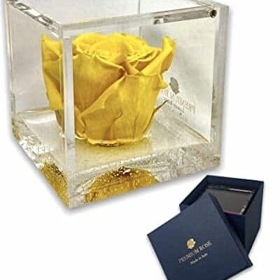 S 1083 Luxury Real Preserved Roses in Thicker Cube