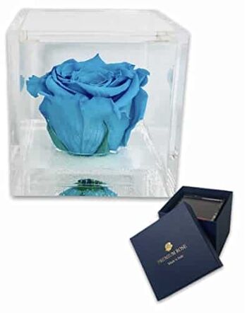 S 1084 Roses préservées de luxe dans un cube plus épais
