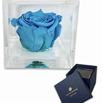 S 1084 Luxury Real Preserved Roses in Thicker Cube