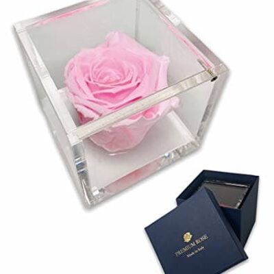 S 1085 Roses préservées de luxe dans un cube plus épais