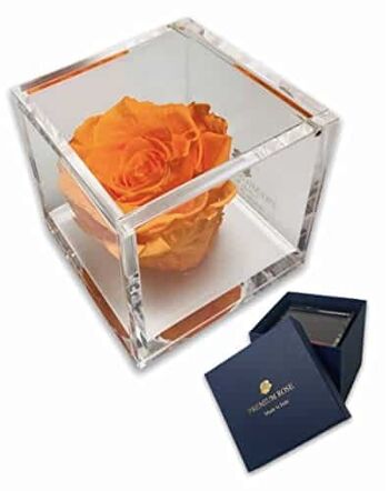 S 1086 Roses préservées de luxe dans un cube plus épais