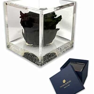 S 1087 Roses préservées de luxe dans un cube plus épais