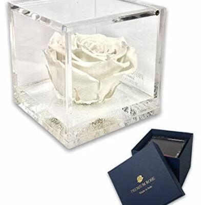 S 1088 Luxury Real Preserved Roses in Thicker Cube