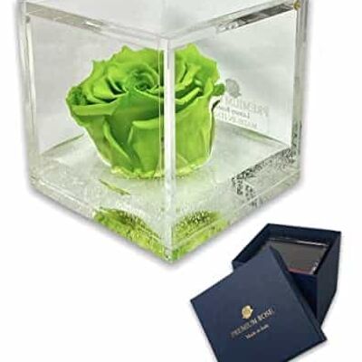 S 1089 Luxury Real Preserved Roses in Thicker Cube