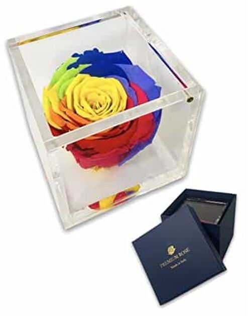 S 1800 Luxury Rose Stabilizzate Vere in Cubo più Spesso
