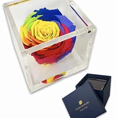 S 1800 roses de luxe préservées dans un cube plus épais