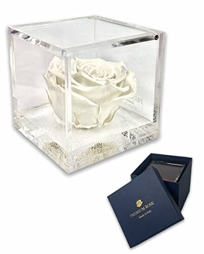 S 1802 Luxury Rose Stabilizzate Vere in Cubo più Spesso