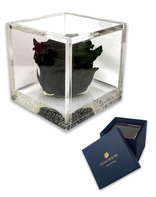 S1017 Luxury Rose Stabilizzate Vere in Cubo più Spesso- Nera