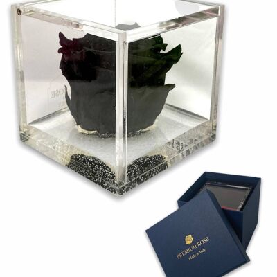 S1017 Luxury Real Preserved Roses in Thicker Cube - Black