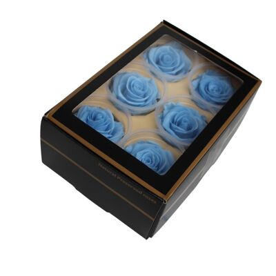 Box of 6 Preserved Sky Blue Roses 6cm LULU ROSE