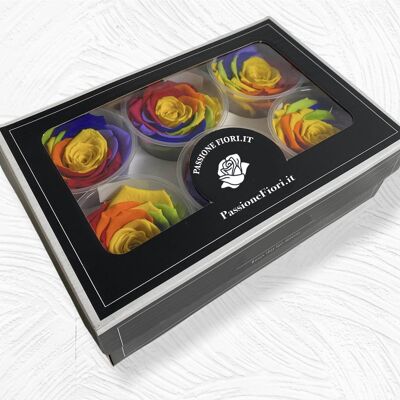 Schachtel mit 6 konservierten mehrfarbigen Rosen 5/6 cm