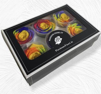 Coffret de 6 Roses Multicolores Stabilisées 5/6cm 1