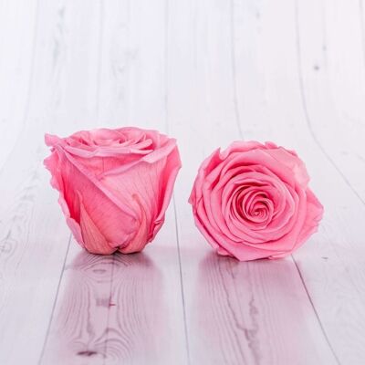 Schachtel mit 6 konservierten rosa Rosen 5/6 cm