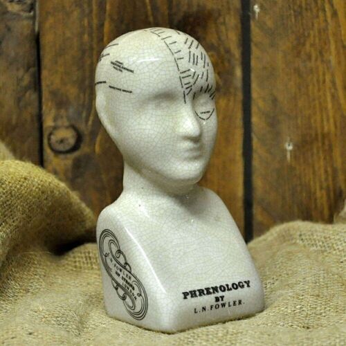 Ceramic Phrenology Head 17cm