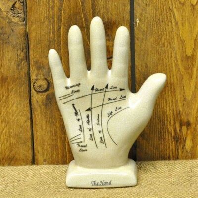 Palmistry Hand 21cm