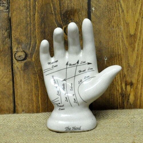 Palmistry Hand 19cm