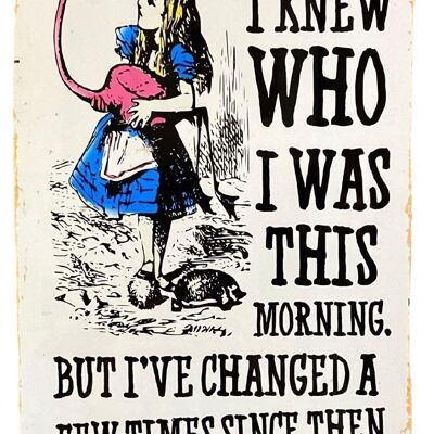 Vintage Metallschild – Alice im Wunderland – ich wusste, wer ich war, aber ich habe mich verändert