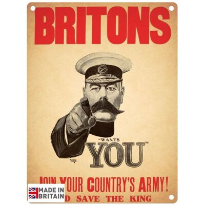 Cartel metálico grande 60 x 49,5 cm Vintage Retro Britons Got You