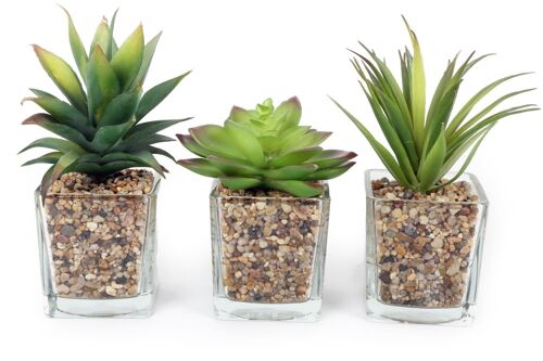 Set Of Three Faux Succulents In Glass Pots