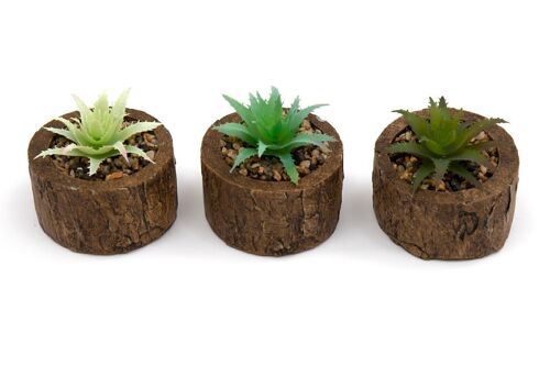 Bark Effect Pot and Succulent