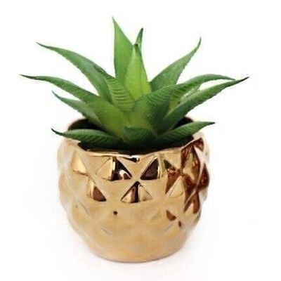 Miniature Succulente En Pot Géométrique Doré