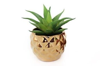 Miniature Succulente En Pot Géométrique Doré 1
