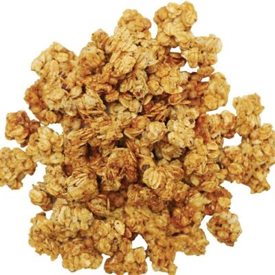 granola ecológica recubierta de avellanas granel bolsa 4kg