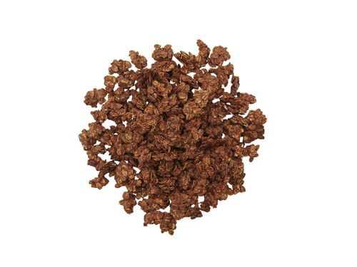 Granola bio enrobé de chocolat sac vrac 4kg