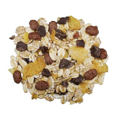 Muesli biologico con gocce di cioccolato fondente busta sfusa 5kg