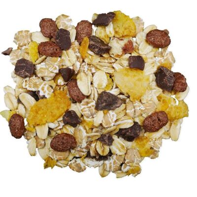 Muesli bio aux éclats de chocolat noir sac vrac 5kg