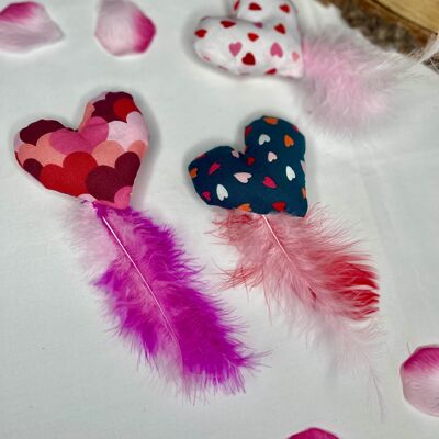 Valentine's Day heart with catnip or valerian