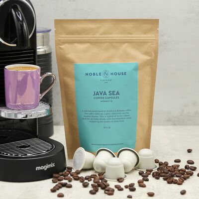 Java-Meer-Kaffeepads