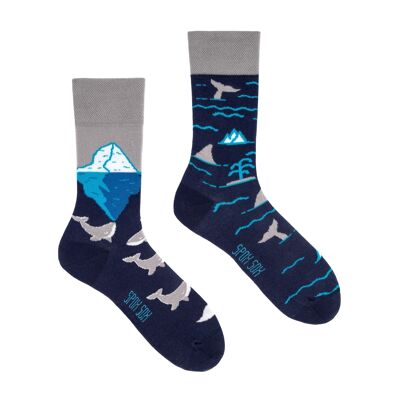 Casual socks - Arctic Whales