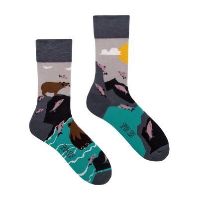Casual socks - Bears & Salmons