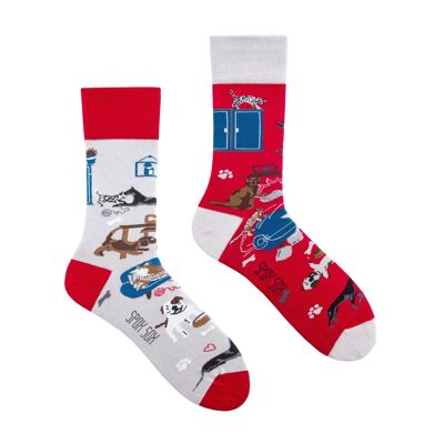 Casual socks - Cat And Dog Life