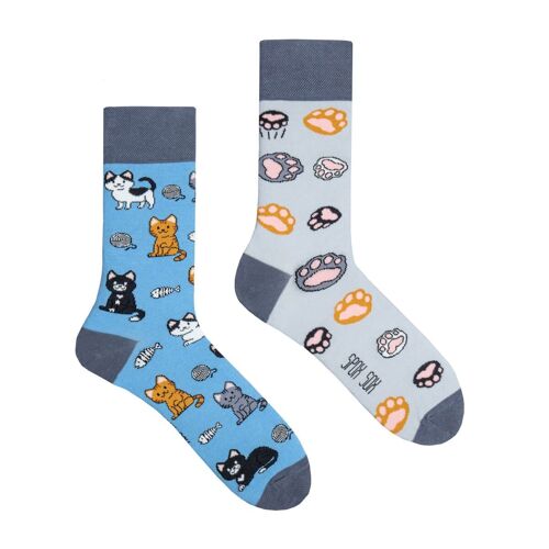 Casual socks - Cats