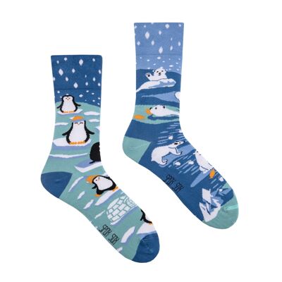 Chaussettes décontractées - Pingouins et ours polaires