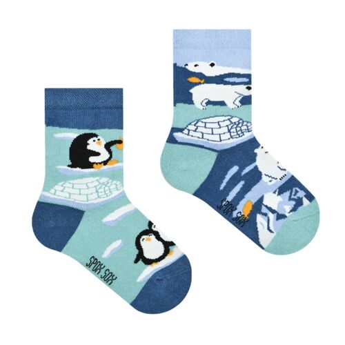 Casual socks - Penguins & Polar Bears - Kids