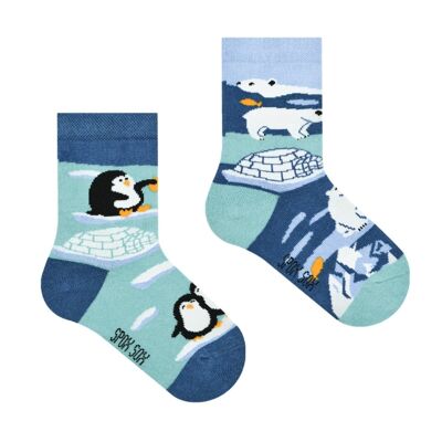Calcetines casual - Pingüinos y Osos Polares - Niños